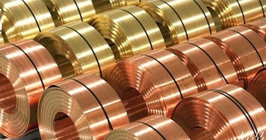 خرید و فروش رول برنجی